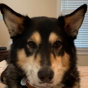 Meet your Posher, Stacey